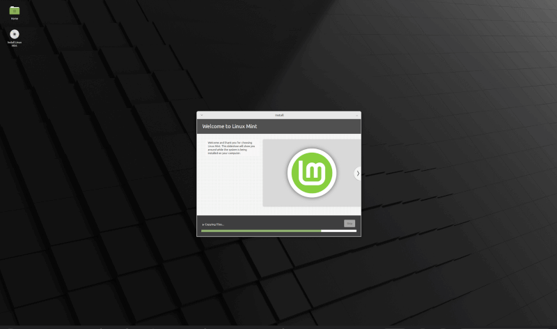 Linux Mint Installation