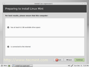 Linux Mint 14 Disk Selection