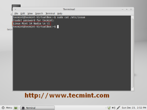 sudo cat /etc/issue