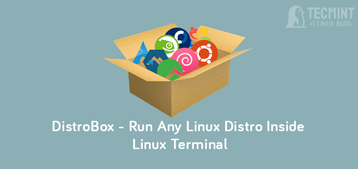 DistroBox - Run Any Linux Distribution in Terminal