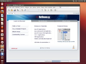 NetBeans IDE Running on Ubuntu