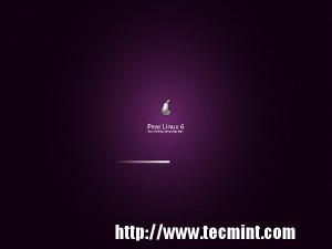 Starting Pear Linux 6