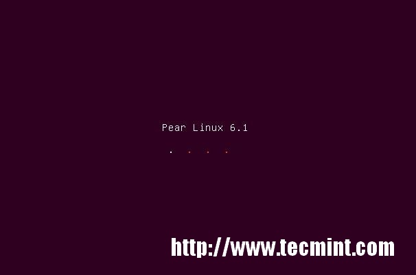 Pear Linux 6 Installation Screen