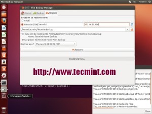 Pybackpack Remote Restore