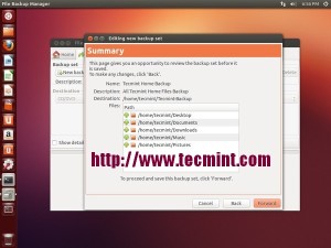 Pybackpack Backup Summary