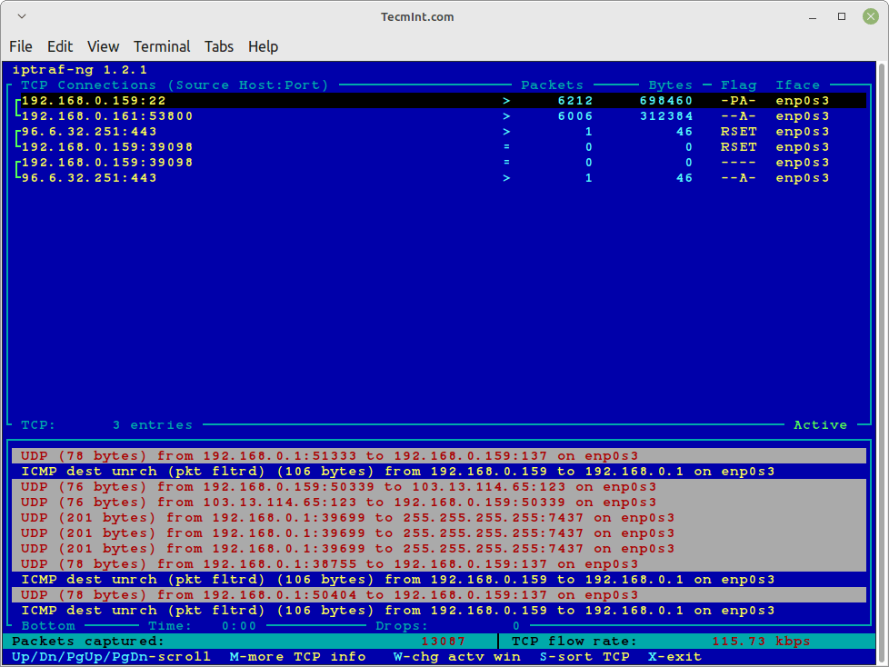 Linux IP Traffic Monitor