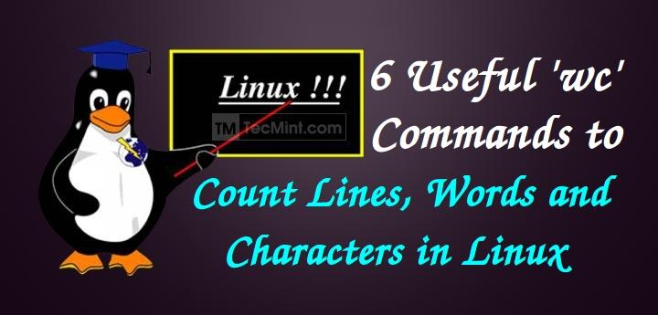 Check Word Count in Linux