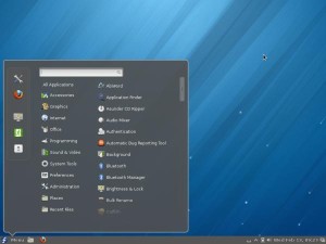 Cinnamon Desktop Screen