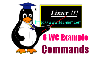 wc command examples