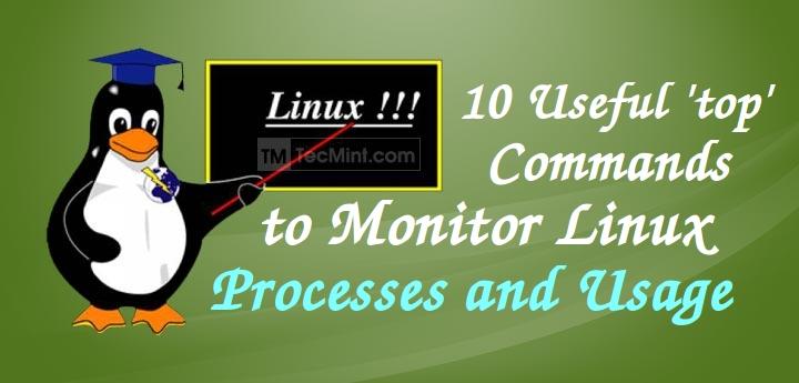 Linux Top Command Examples and Usage