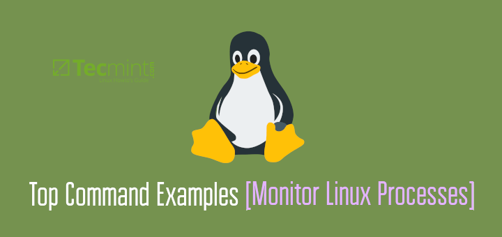 Linux Top Command Examples and Usage