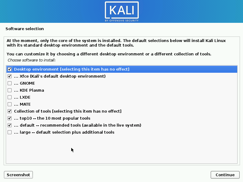 Kali Linux Installer