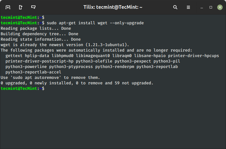 Update Single Package in Ubuntu