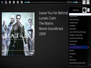 Plasma Media Center Image 5