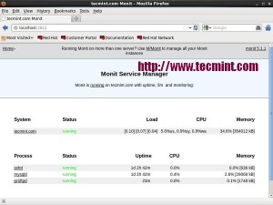 Monit Monitoring Process