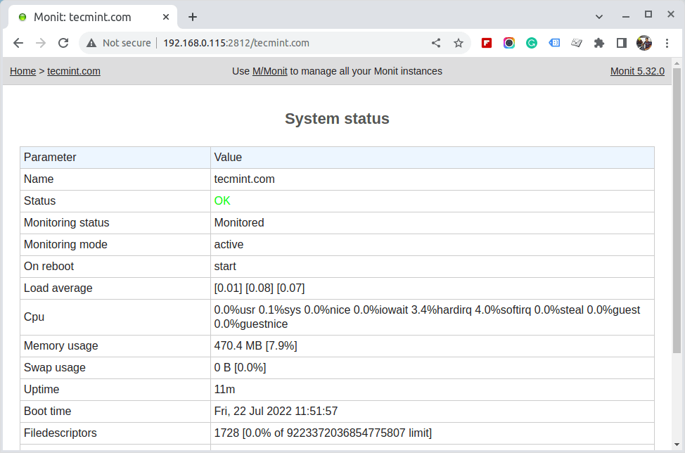 Monit System Status