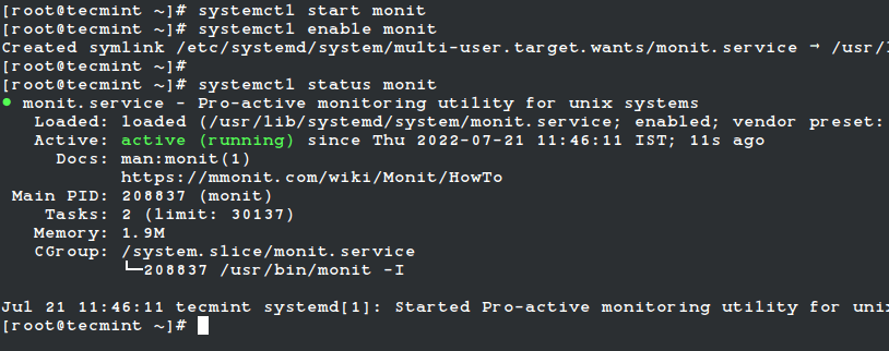 Start Monit in RHEL