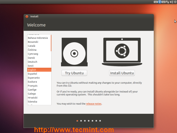 Install Ubuntu 13.04