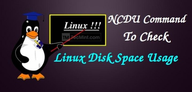 Check Disk Usage Space in Linux