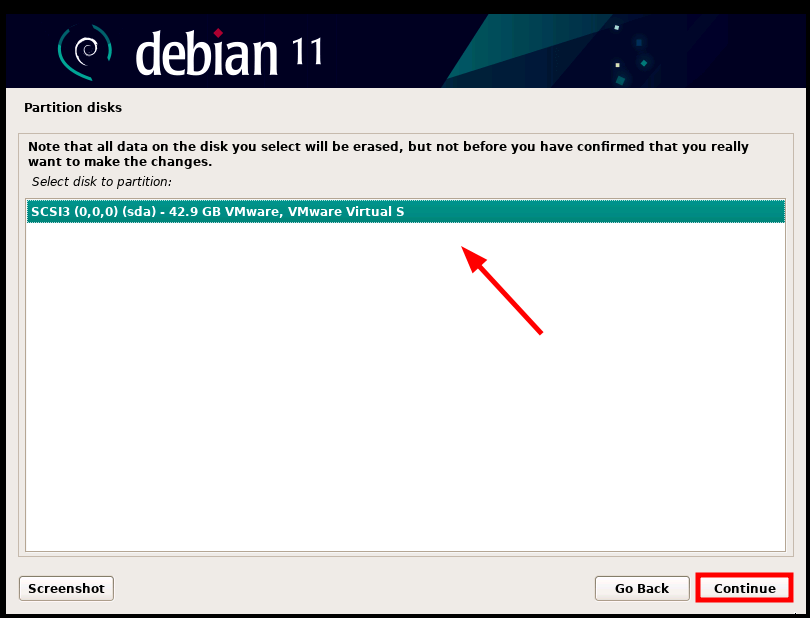 Debian 11 Disk Selection