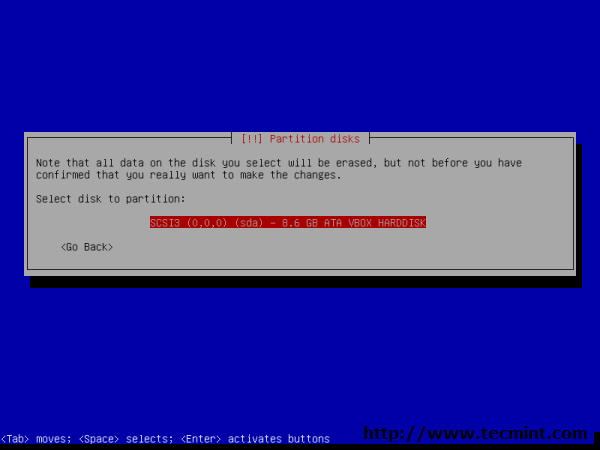Debian 7.0  Select Disk Partition