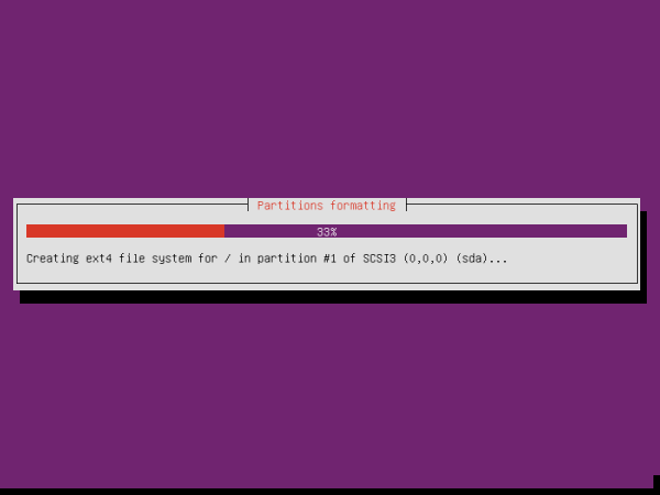 Ubuntu 13.04 Partition Formatting