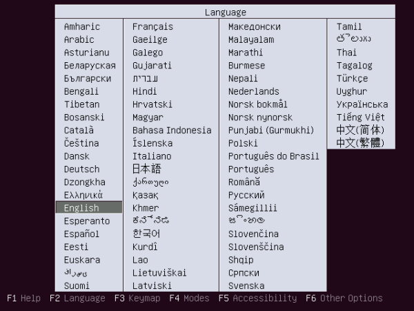 Boot Ubuntu 13.04 Server