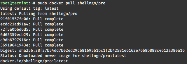 SHELLNGN Pro Docker