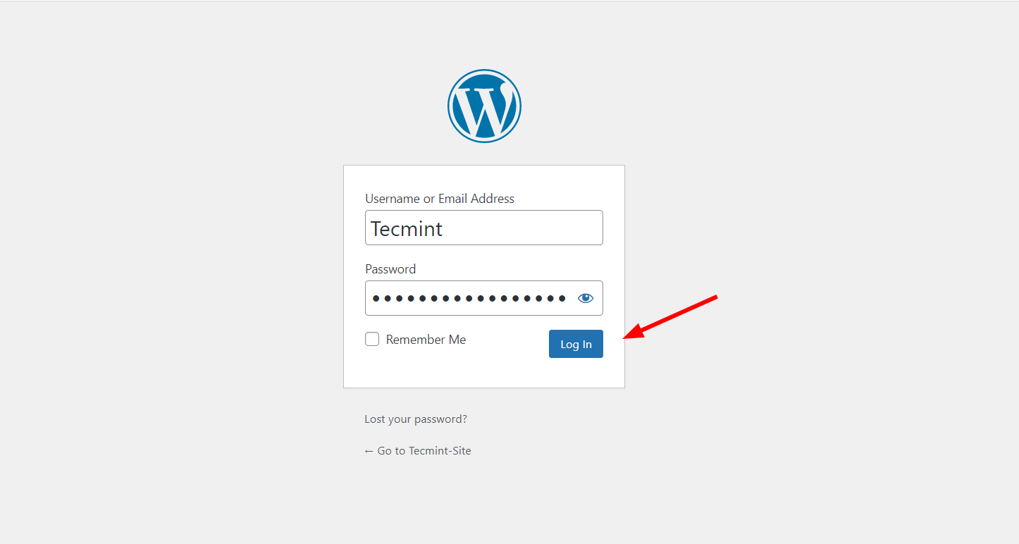 WordPress Admin Login