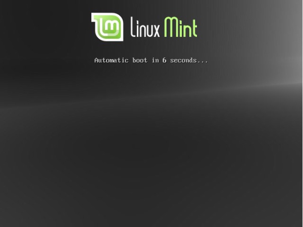 Boot Linux Mint 15 Installation Media