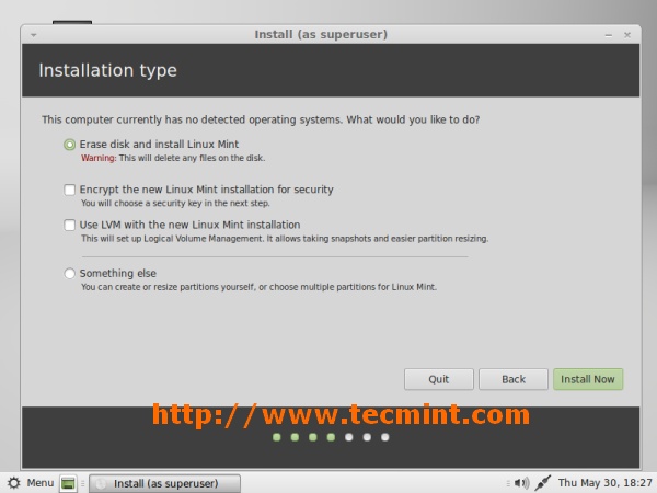 Select Linux Mint 15 Installation Type