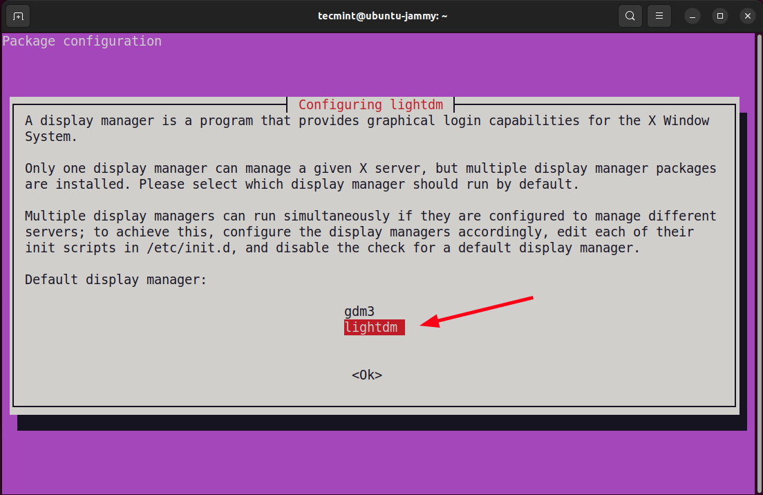 Choose lightdm Display Manager