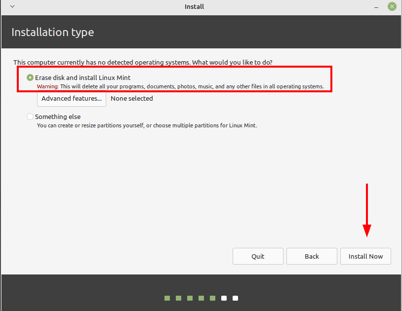 Linux Mint 21 XFCE Installation Type