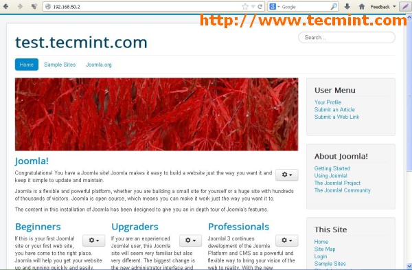 Test Joomla Website