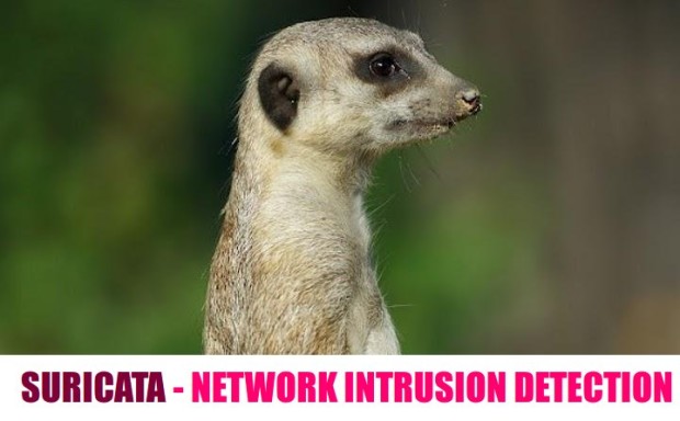 Install Suricata Intrusion Detection