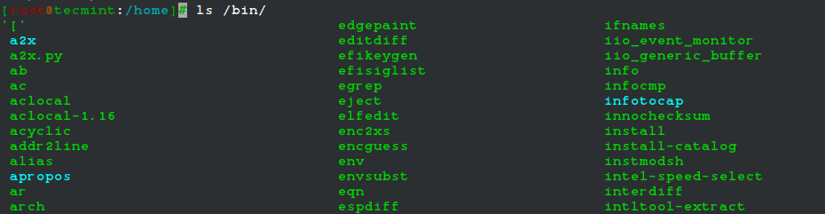 /bin Directory in Linux