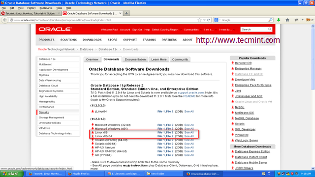 download business cycle fluctuations and