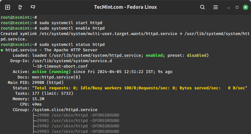 Check Apache in Linux System