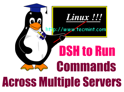 DSH Commands