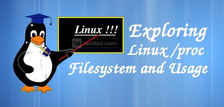 Linux /proc Filesystem