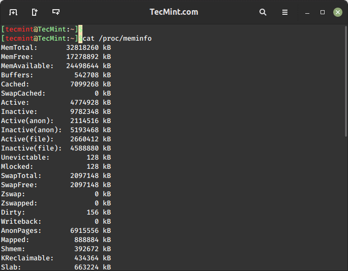 Show Memory Usage and Statistics of a Linux System