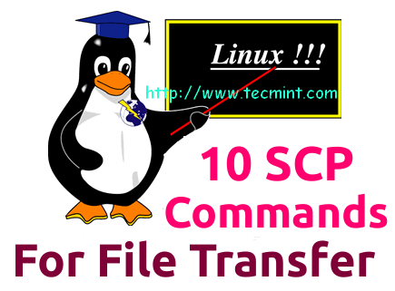 10 SCP Commands to Transfer in Linux