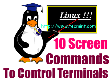  Comandos de pantalla de Linux 