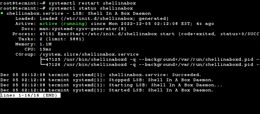 Start terminal. Терминал Linux. Коммутатора Microlink SSH через терминал-Fly. Mobx32 терминал SSH. Home Assistant Addons Terminal SSH.