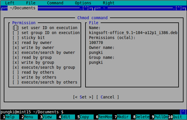 Command permissions. Chmod Linux группы. Midnight Commander Linux. Запускающий файл MC. Команда chmod 755.