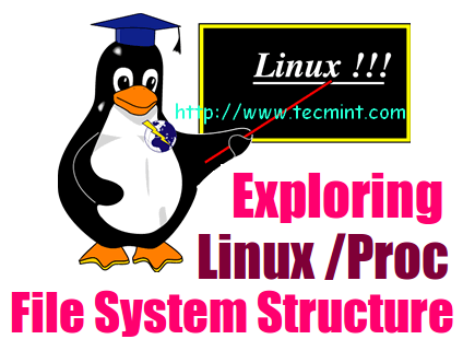  Sistema de archivos de proceso de Linux 