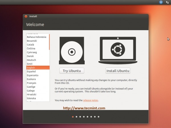 Select Install Ubuntu 13.10