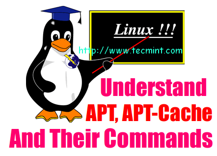 apt-get commands and apt-cache commands