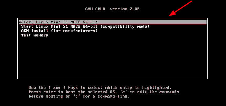 Install Linux Mint Mate Desktop