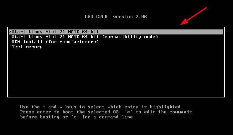 Linux Mint Boot Menu